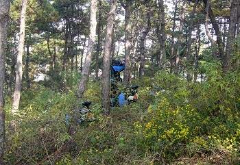 ����֮��