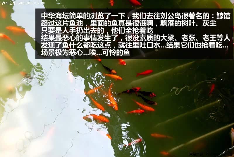 ֮