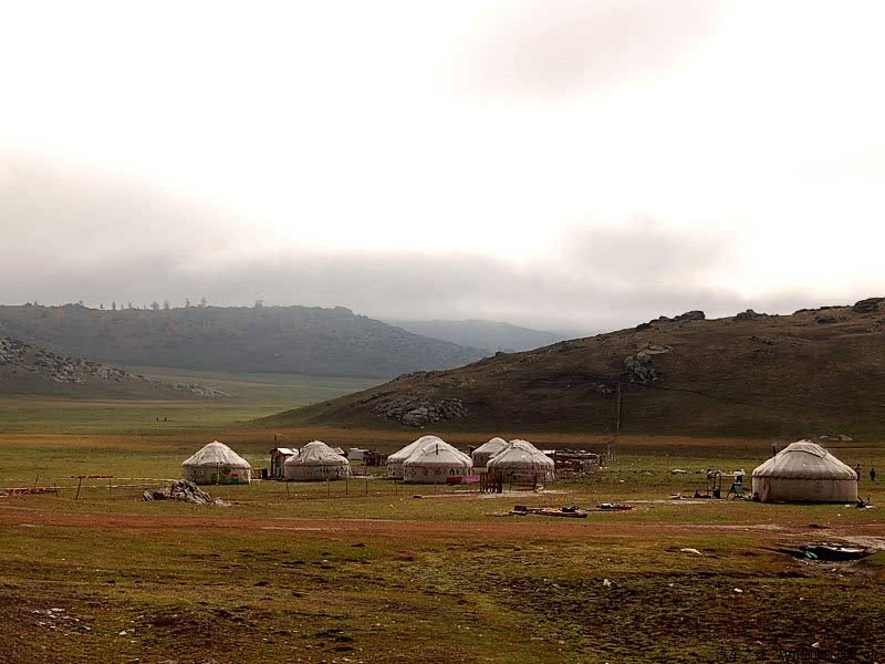 ֮