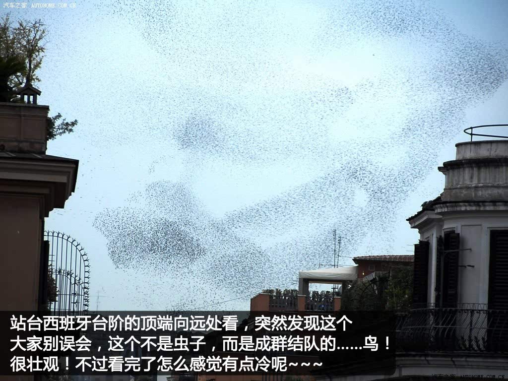 ֮