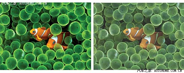 ����֮��