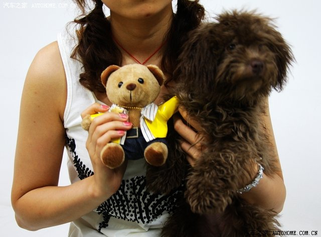 ����֮��