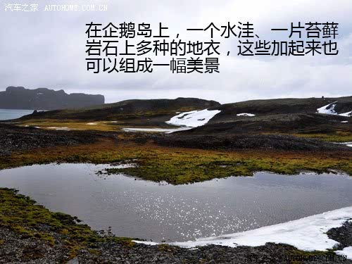 ֮