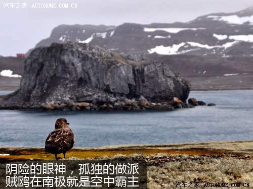 ֮