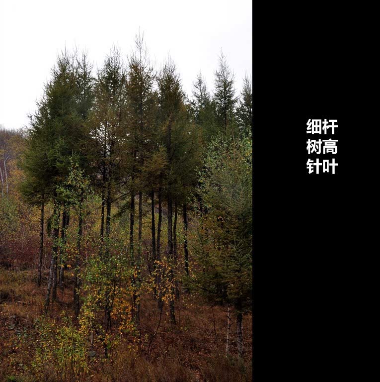 ֮