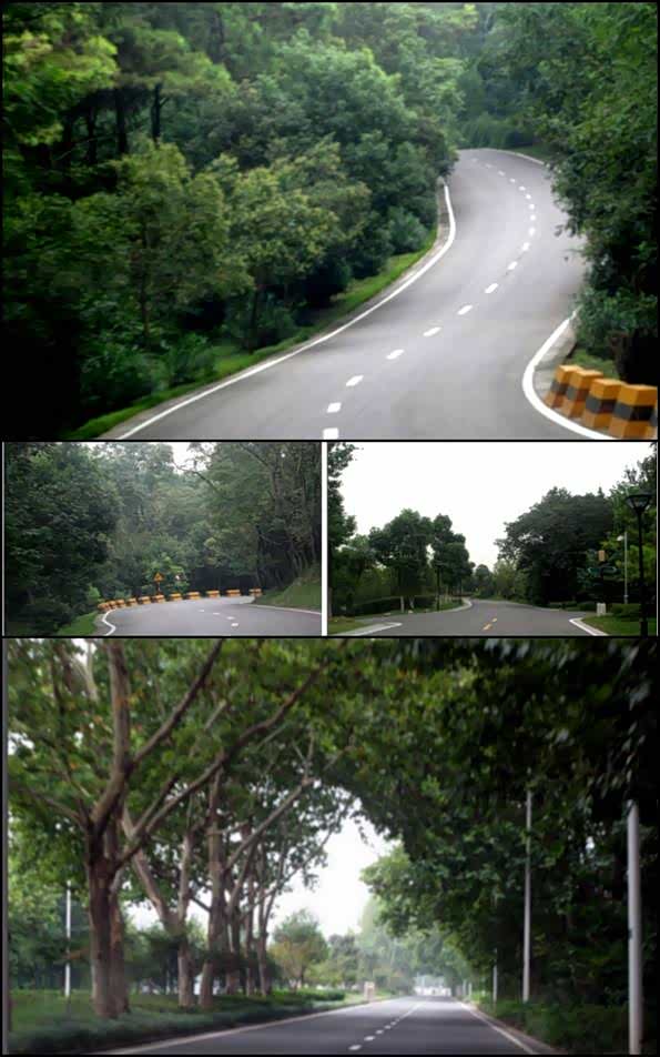 ����֮��