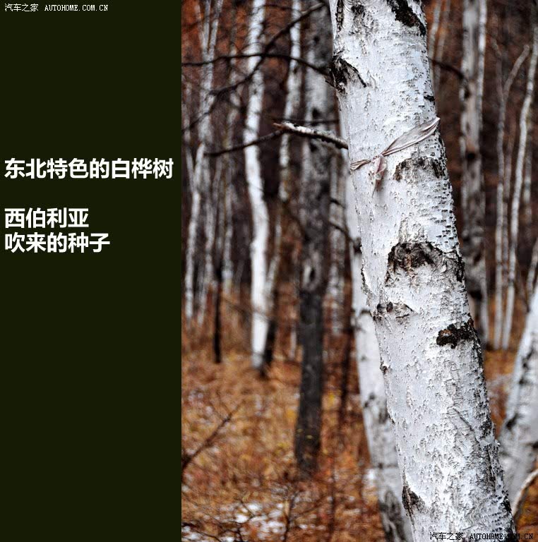 ֮