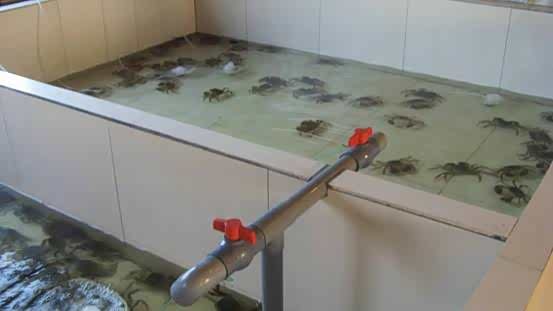 ����֮��