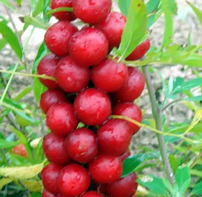 ����֮��