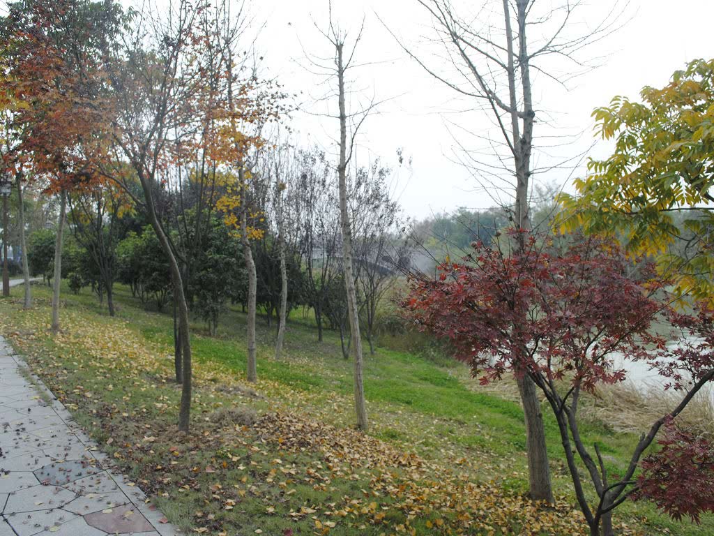 ֮