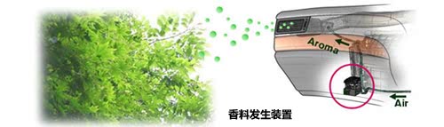 ֮