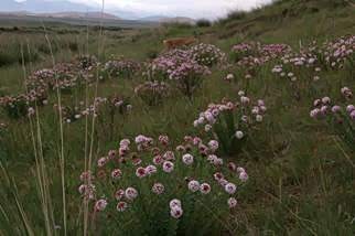 ����֮��