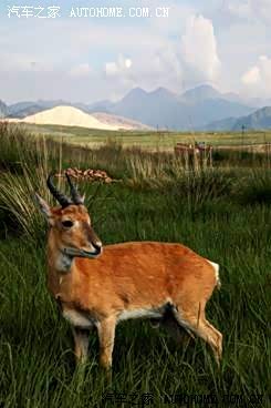 ����֮��