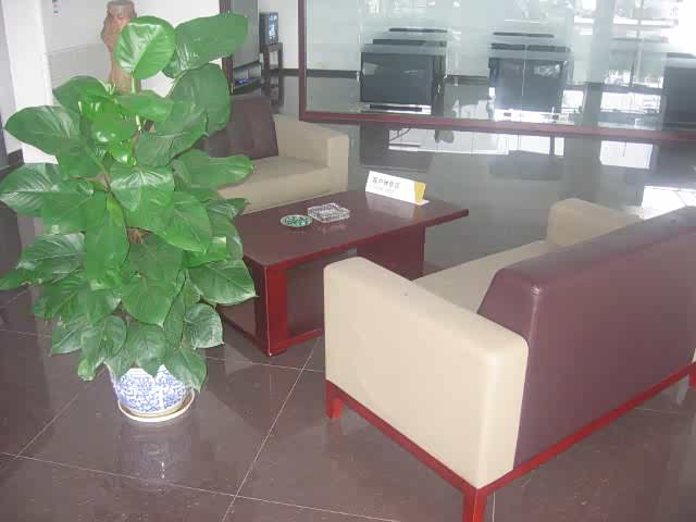 ����֮��