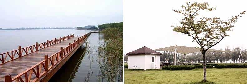 ����֮��