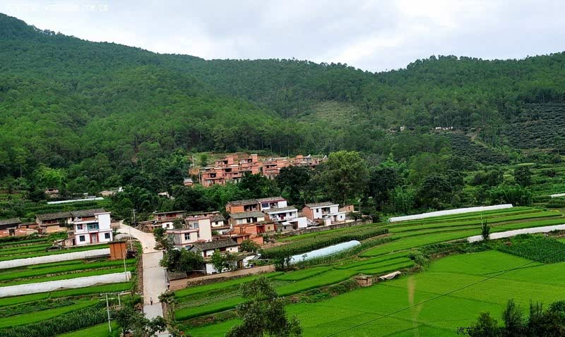 ֮