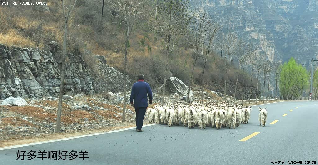 ֮