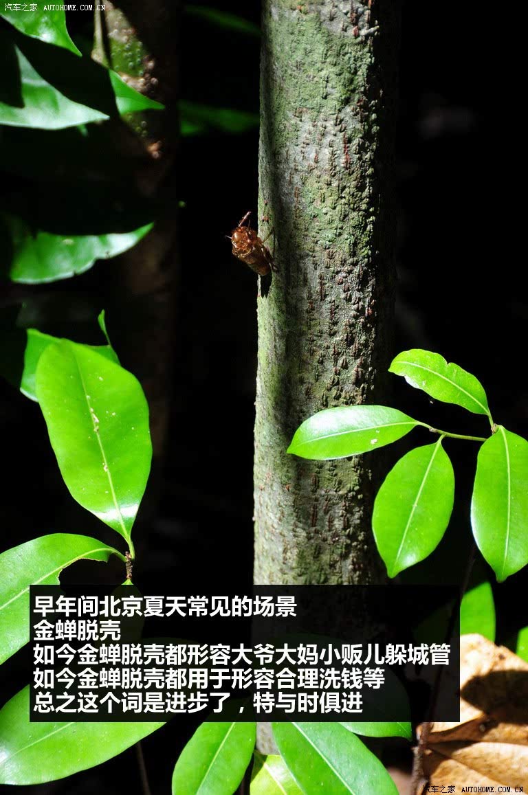 ֮