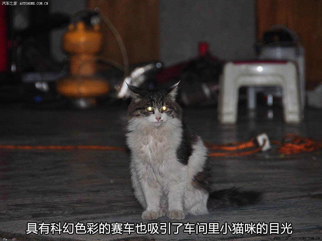 ֮
