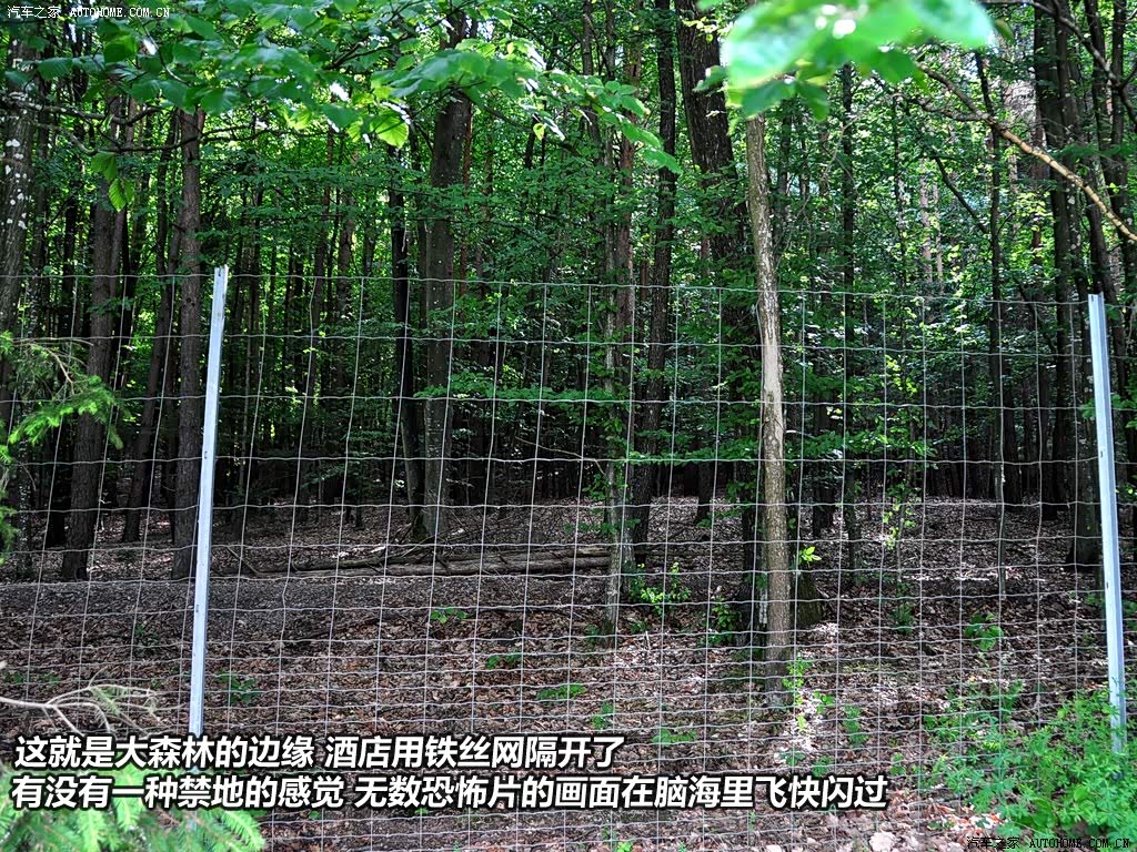 ֮