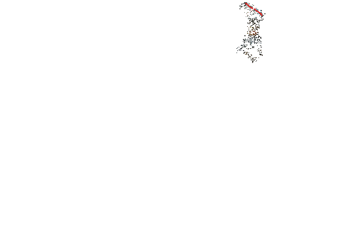 ֮