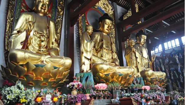 ����֮��