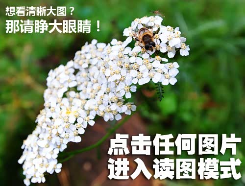 ֮
