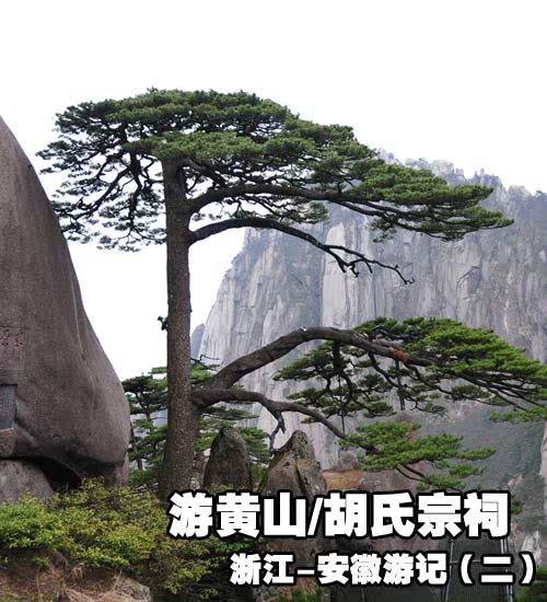 ֮