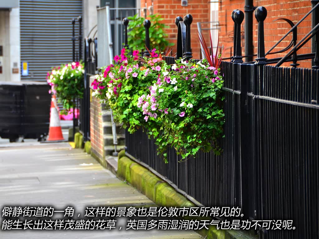 ֮