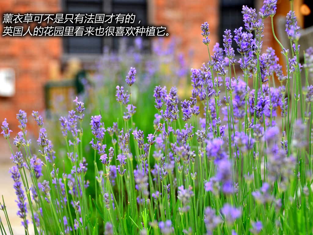 ֮