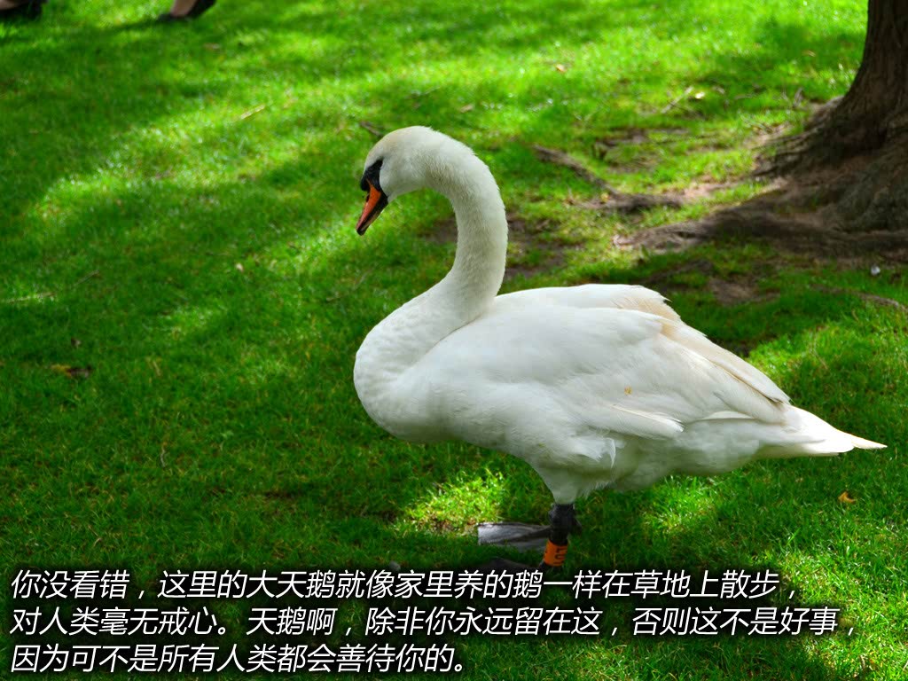 ֮