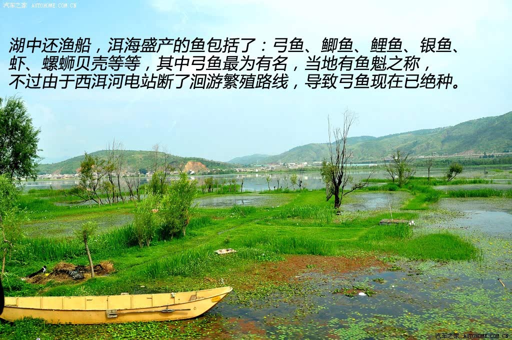 ֮