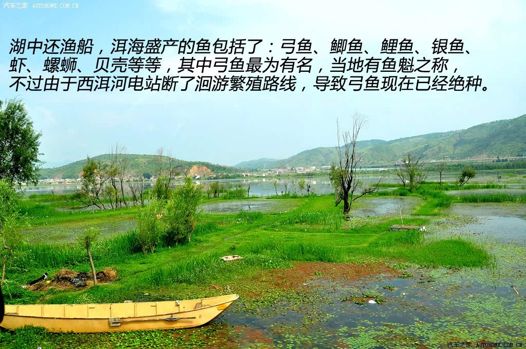 ֮