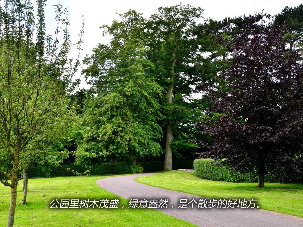 ֮