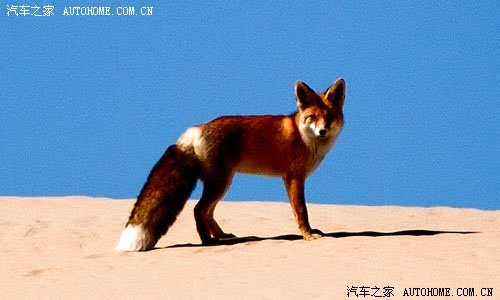 ֮