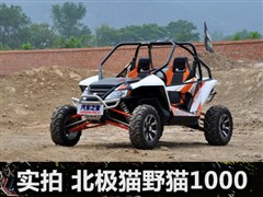 另一种乐趣 实拍北极猫野猫1000限量版