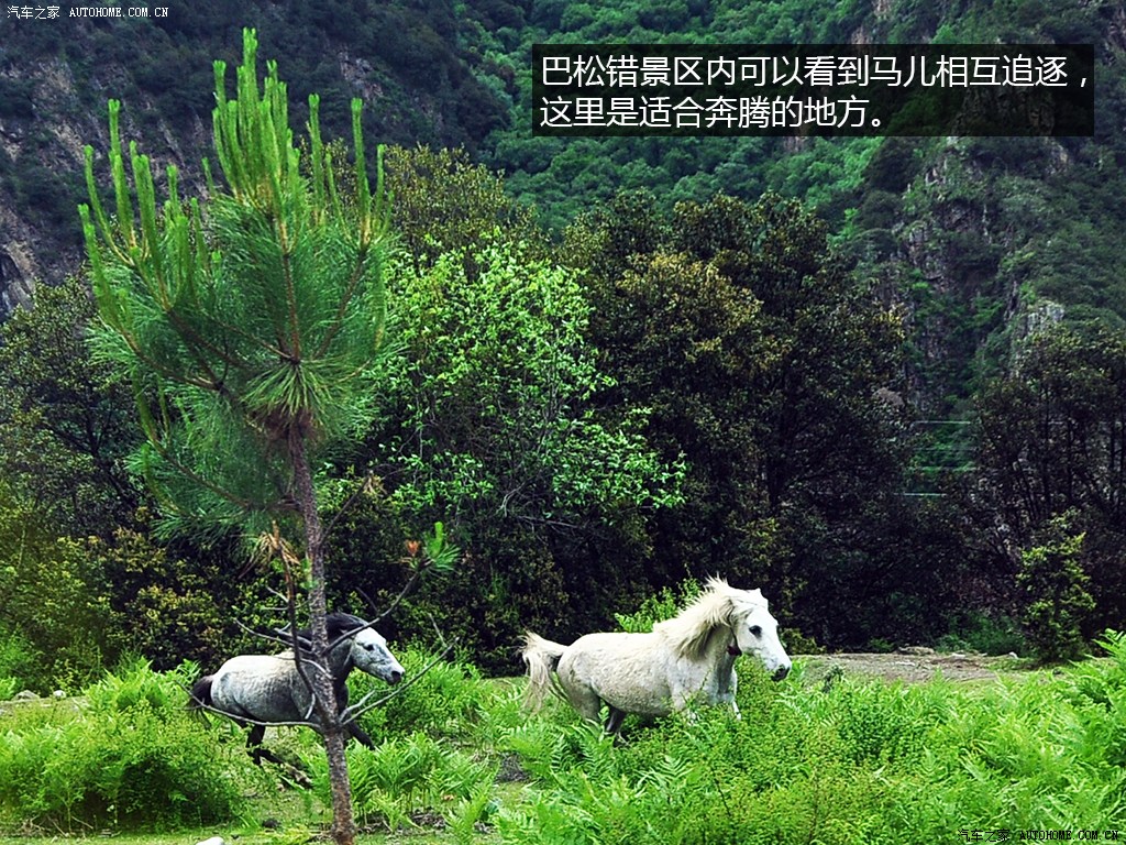 ֮