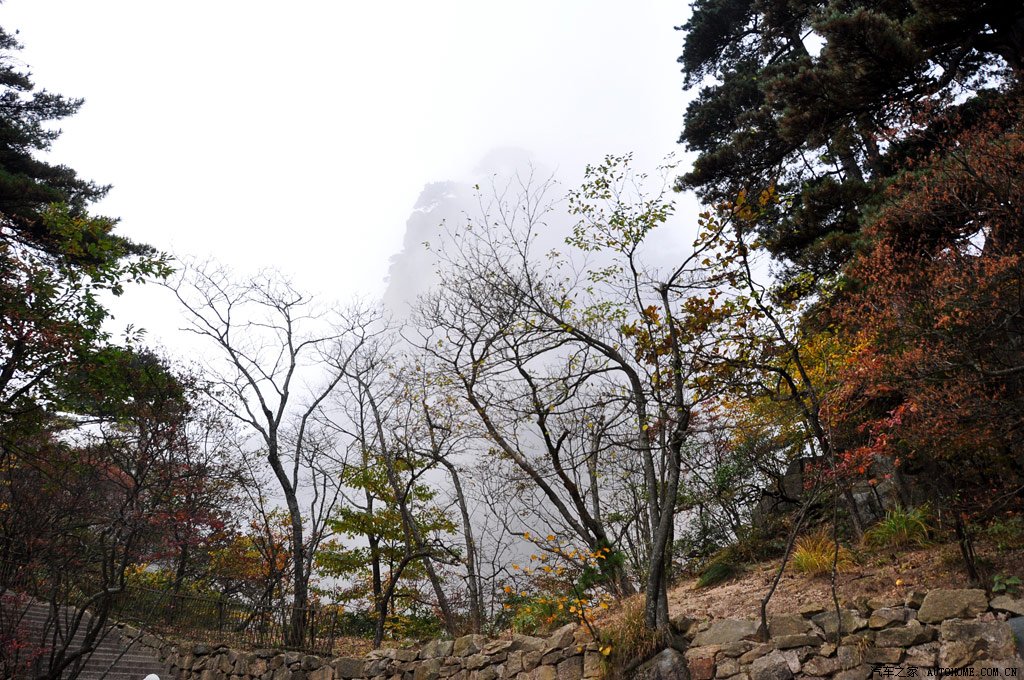 ֮
