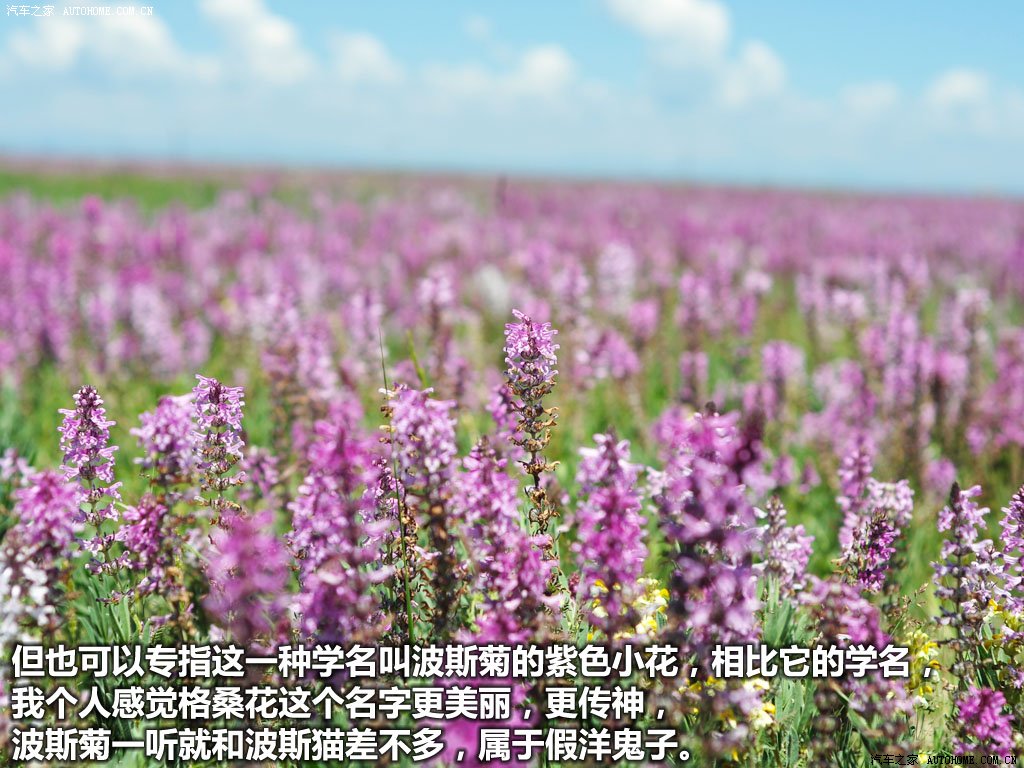 ֮