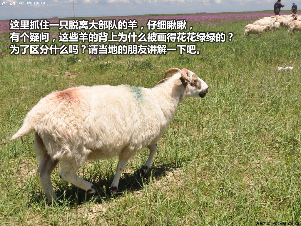 ֮