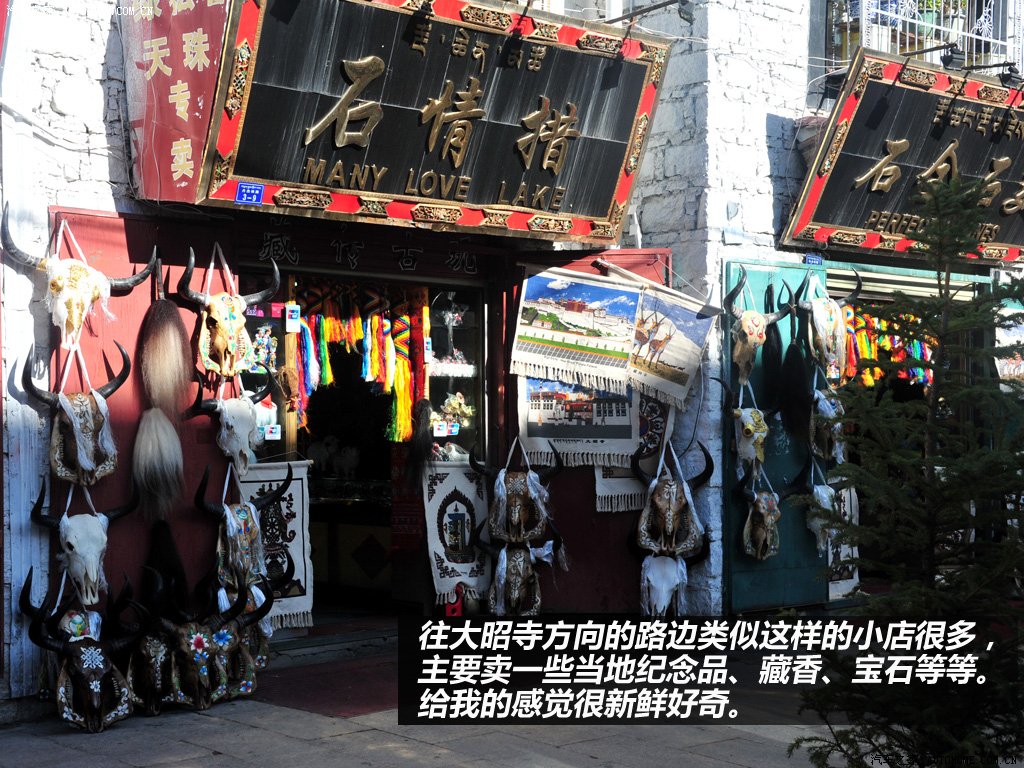 ֮