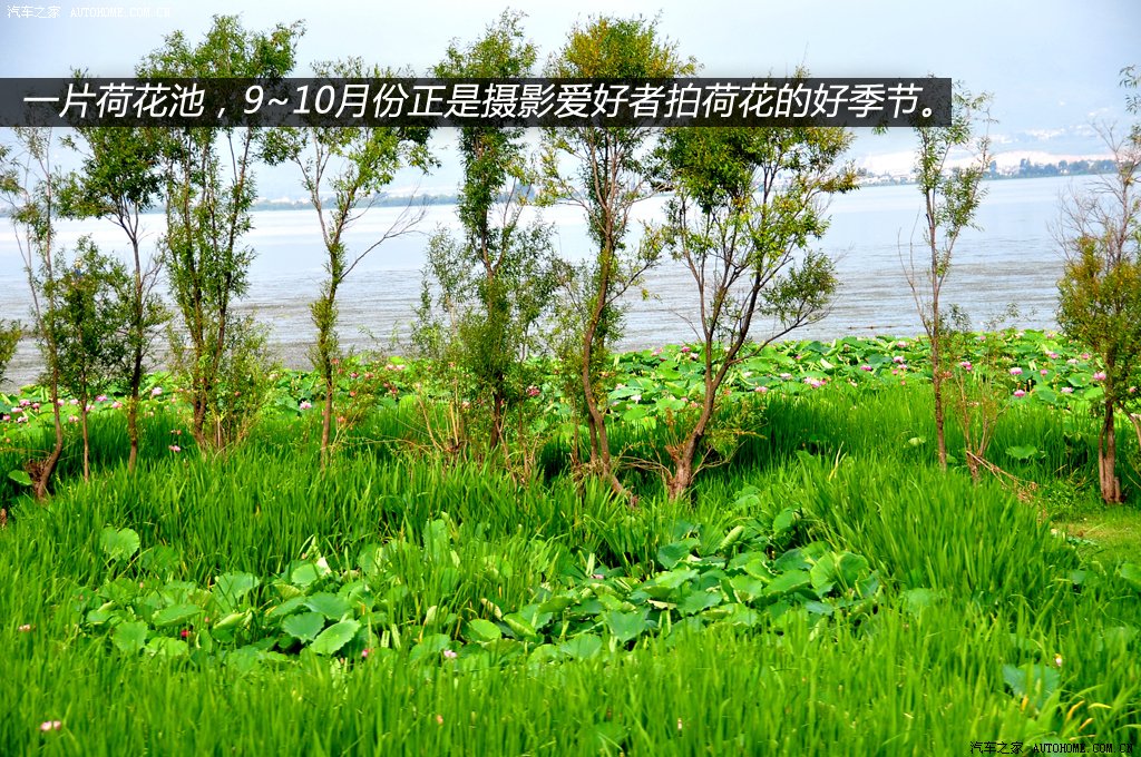 ֮