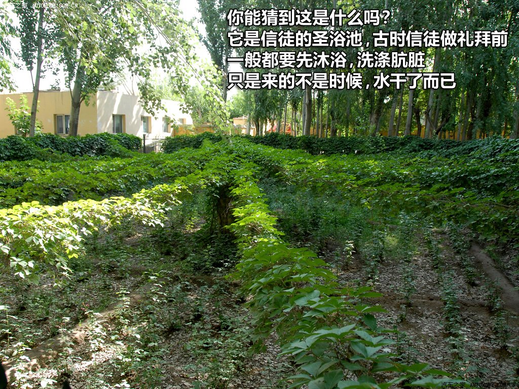 ֮