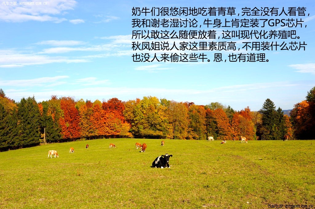 ֮