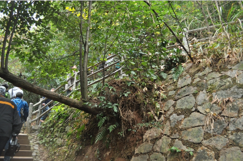 ֮