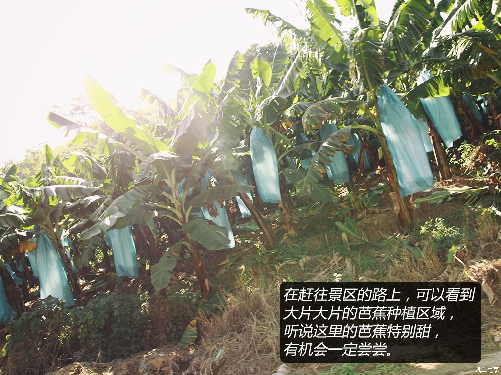 ֮