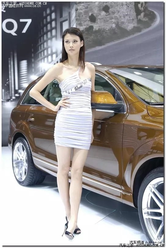 剑兰春酒价格表图片_剑兰春2010销售收入(3)