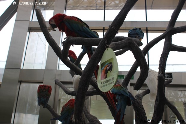 苏州博瑞车友会美车美景亲子自驾游