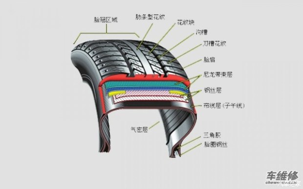 轮胎结构分类
