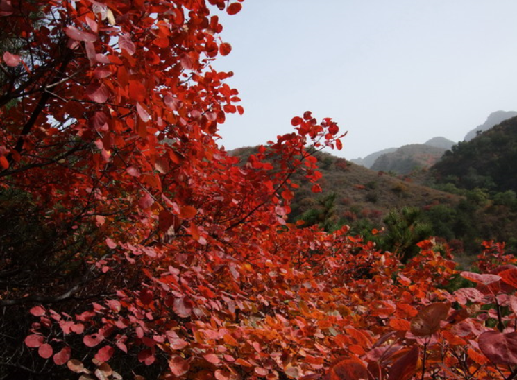 ֮